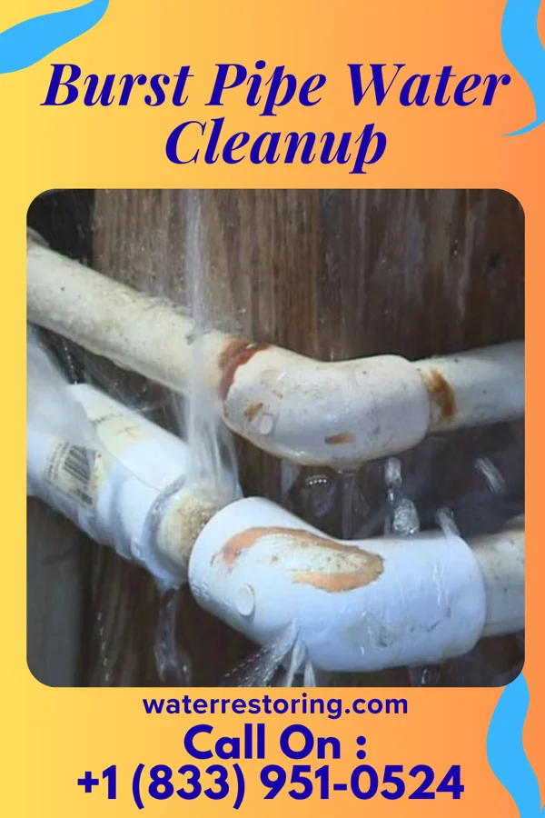 Burst Pipe Water Cleanup in Markleville, IN