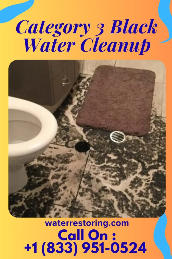 Category 3 Black Water Cleanup in Markleville, IN