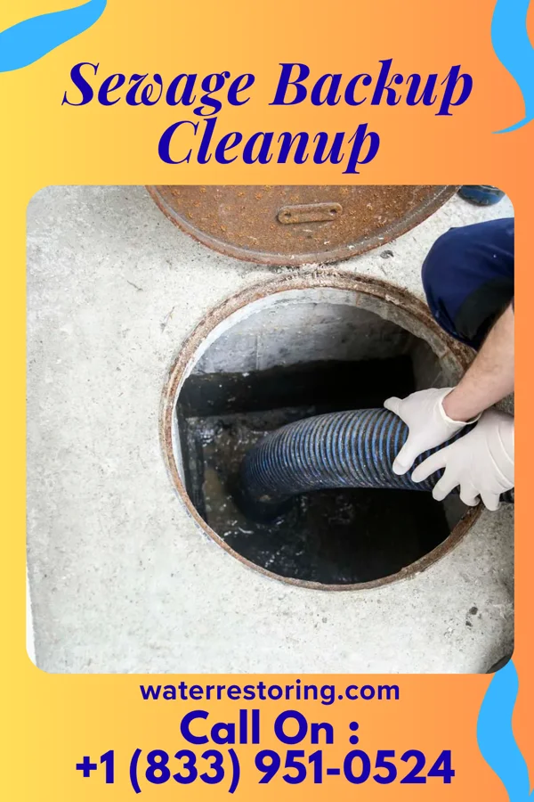 Sewage Backup Cleanup in Markleville, IN